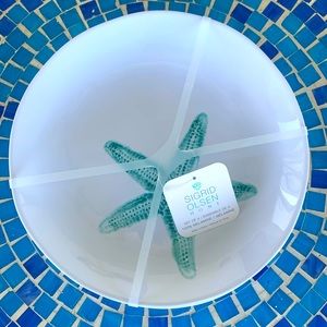 NWT Sigrid Olsen Starfish Melamine Dinner Plates 11” Set of 4